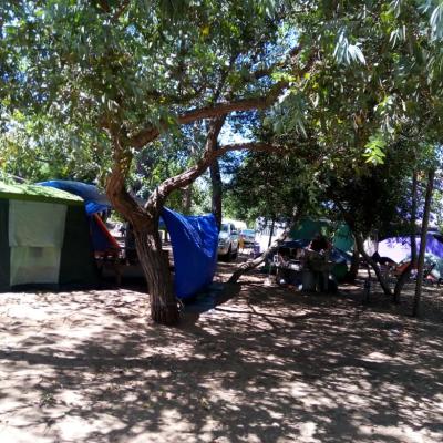 Img 20230219 Wa0003